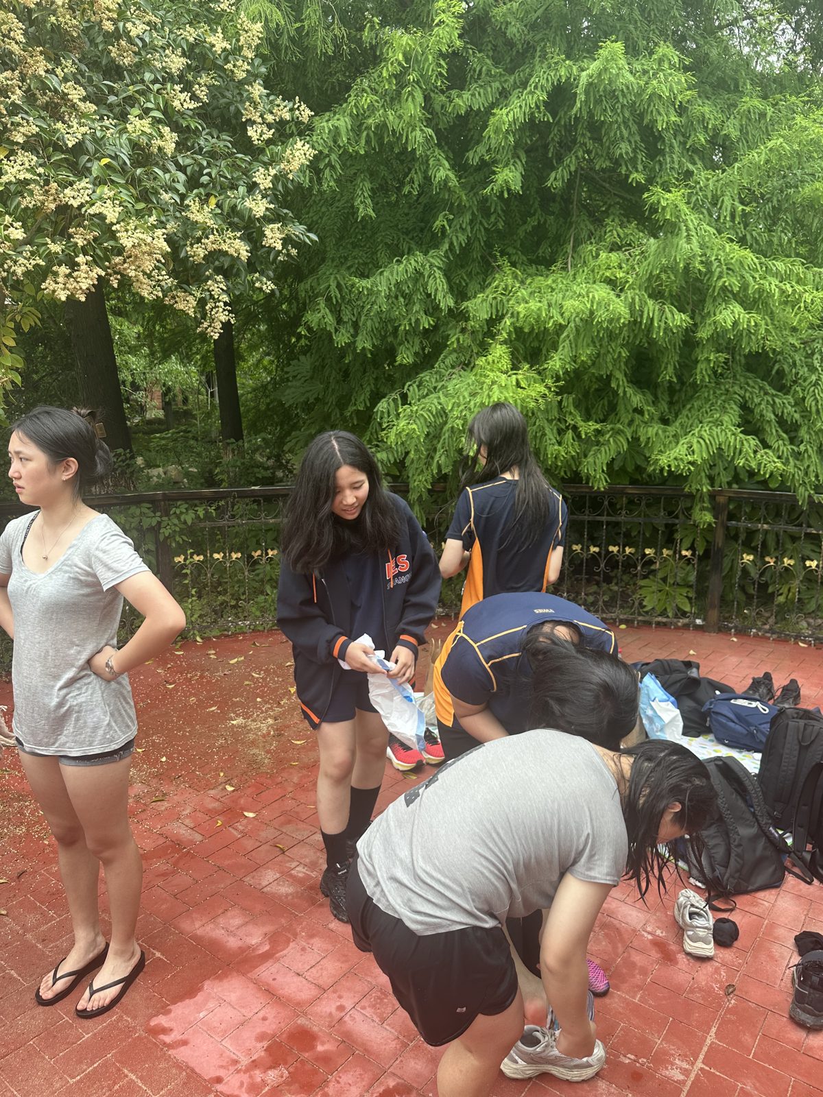 Students outdoors on the school grounds during a field programme